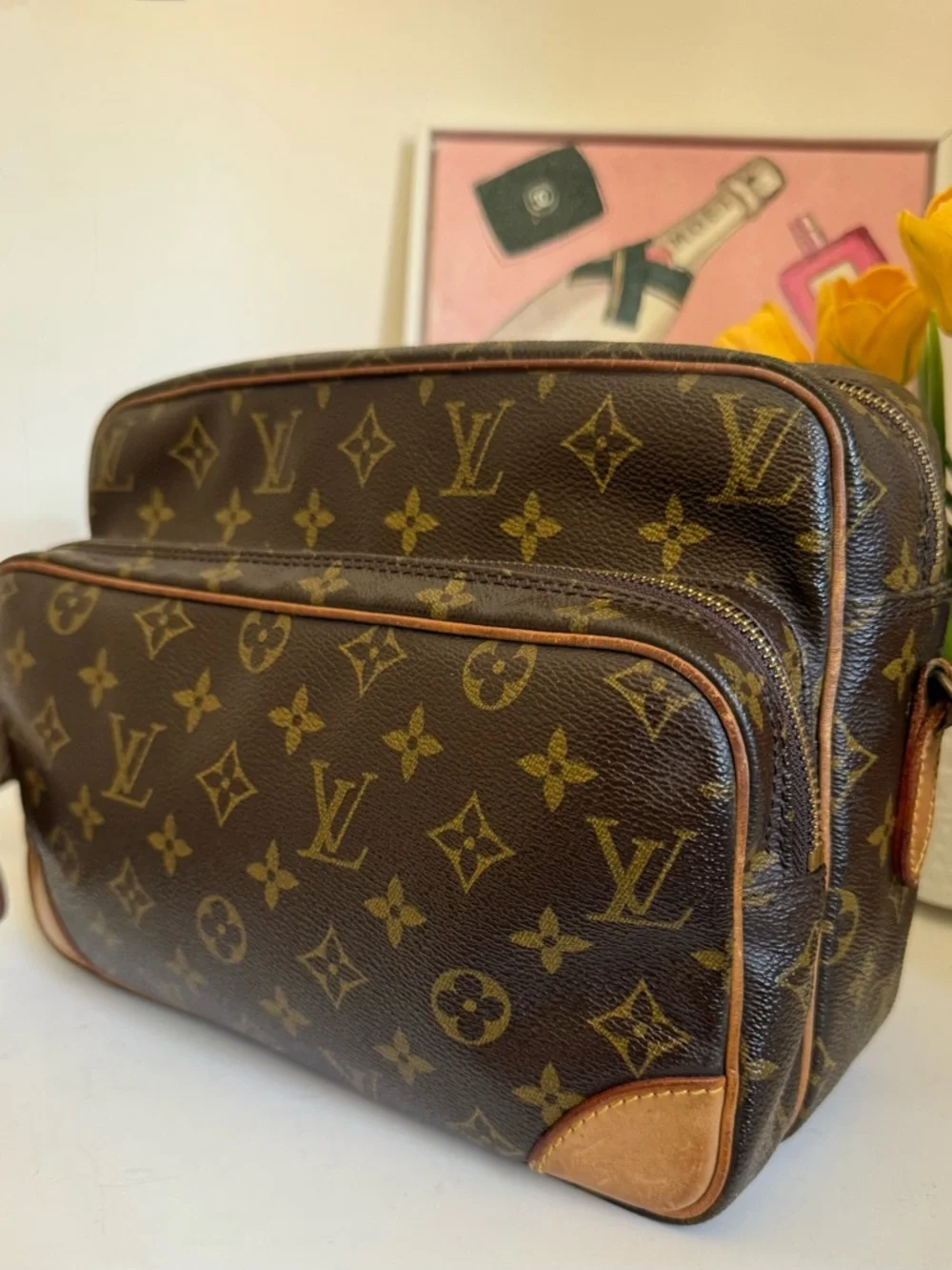 Louis Vuitton Nile Monogram Canvas Messenger Bag - Picture 4 of 14